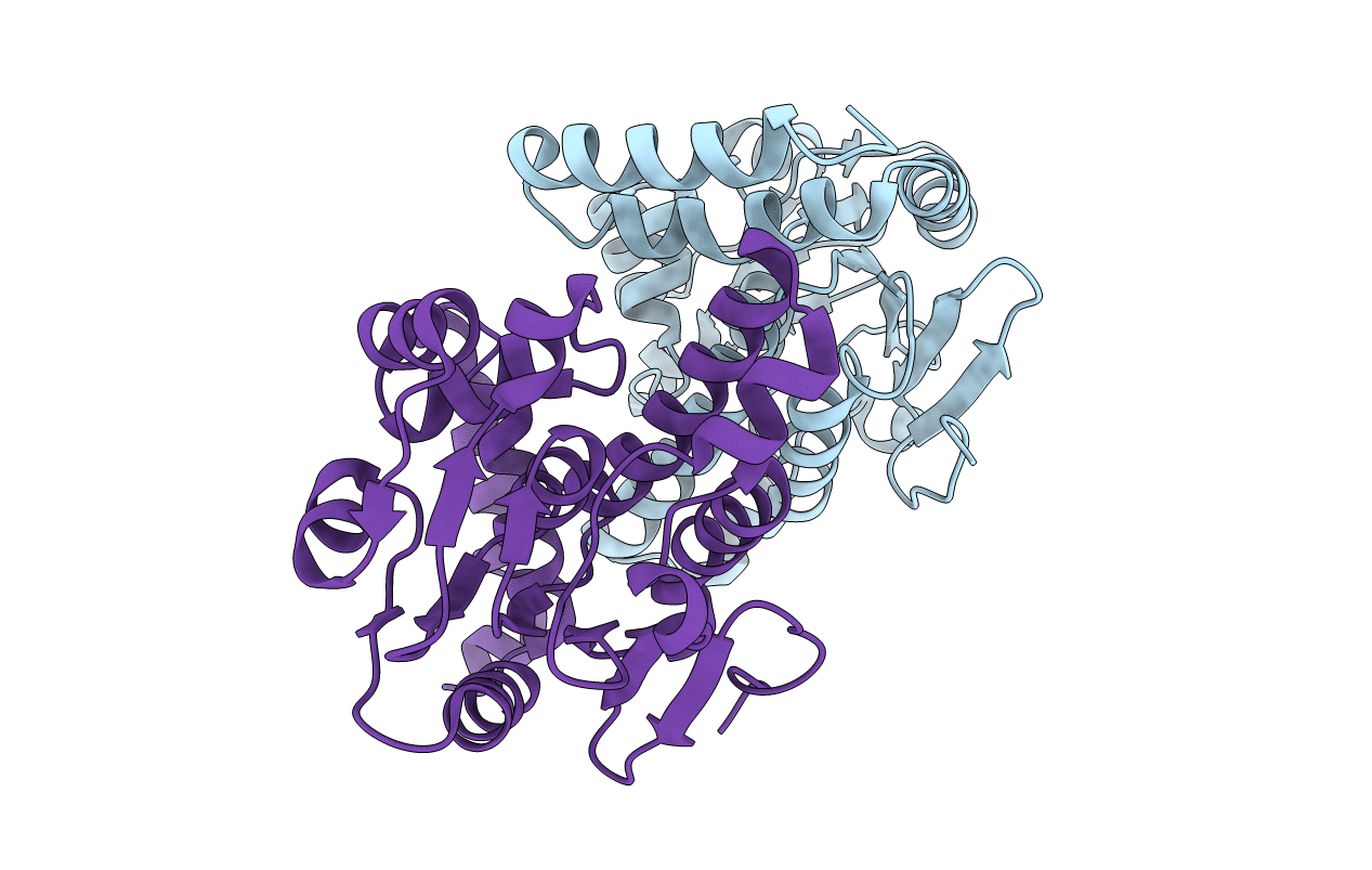 4IZB image
