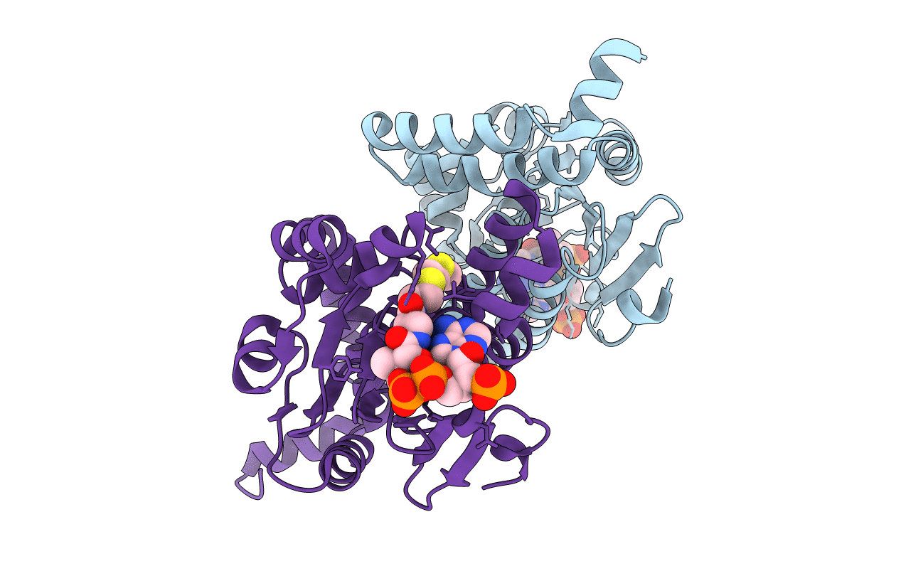 4IZD image