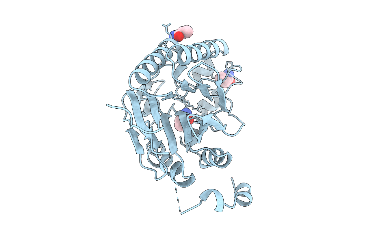 4IZV image