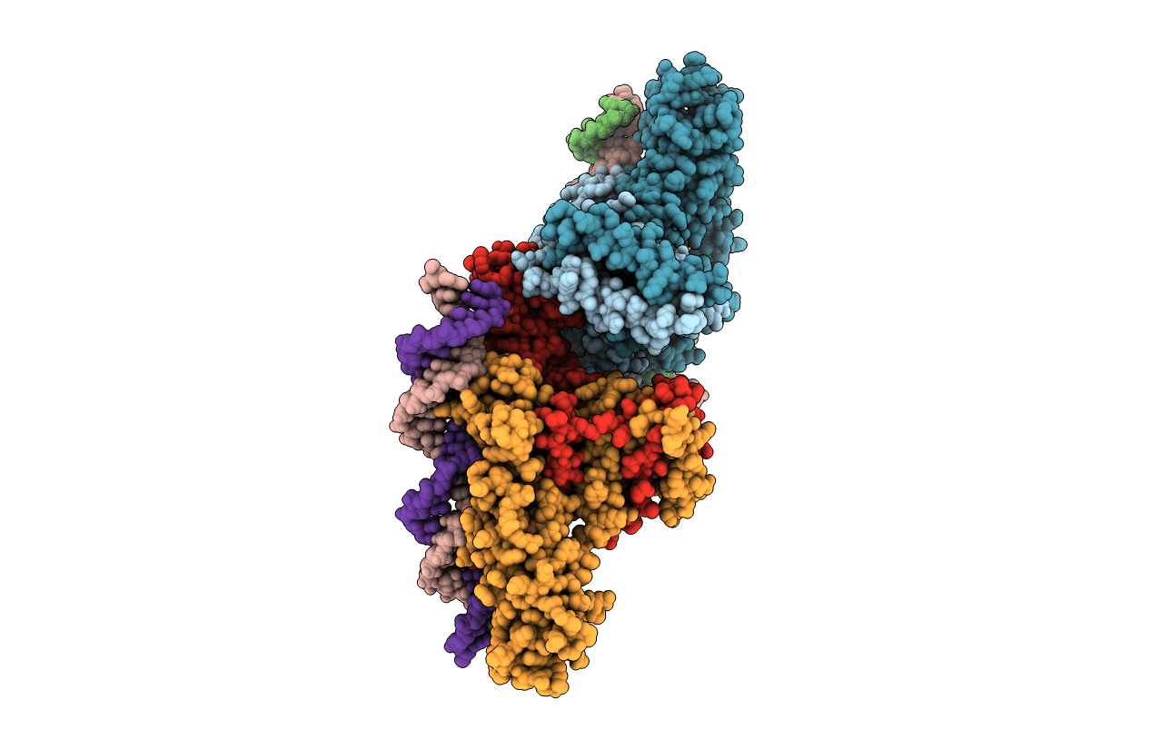 4J01 image