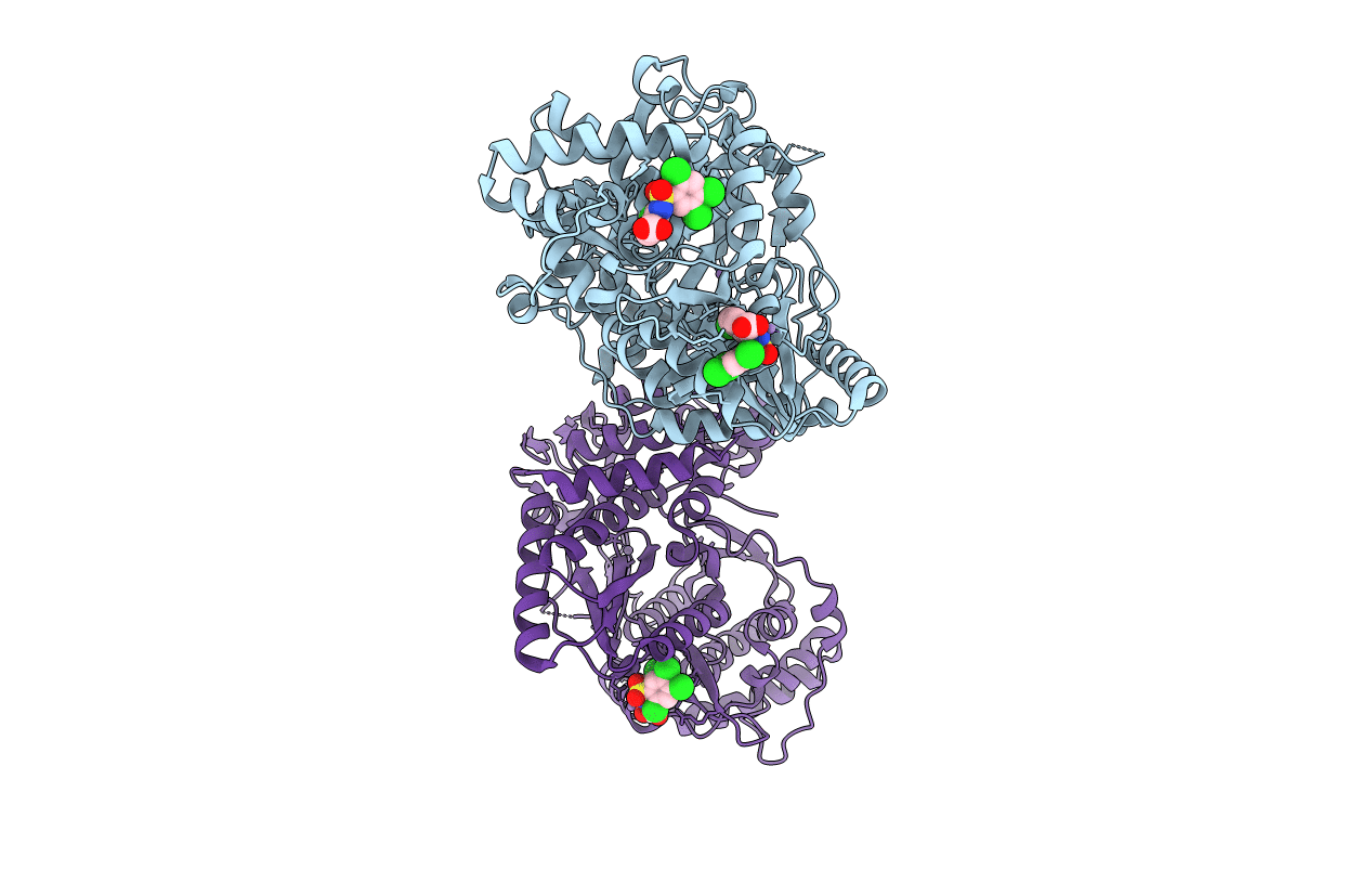 4J04 image