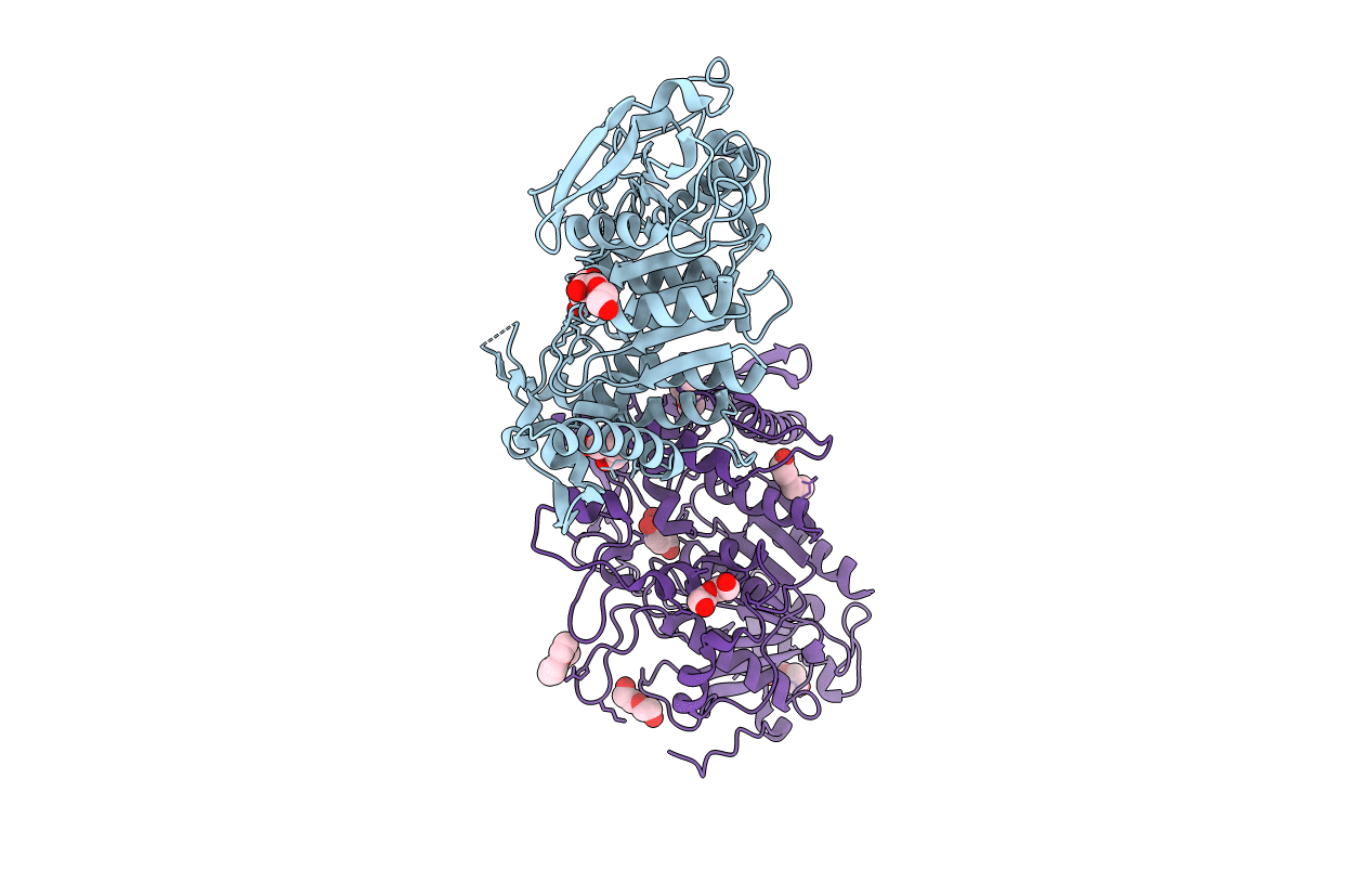 4J0I image