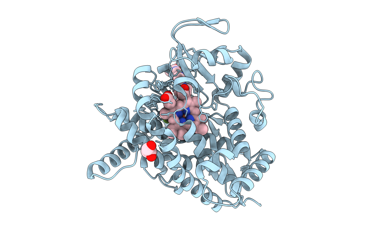 4J14 image