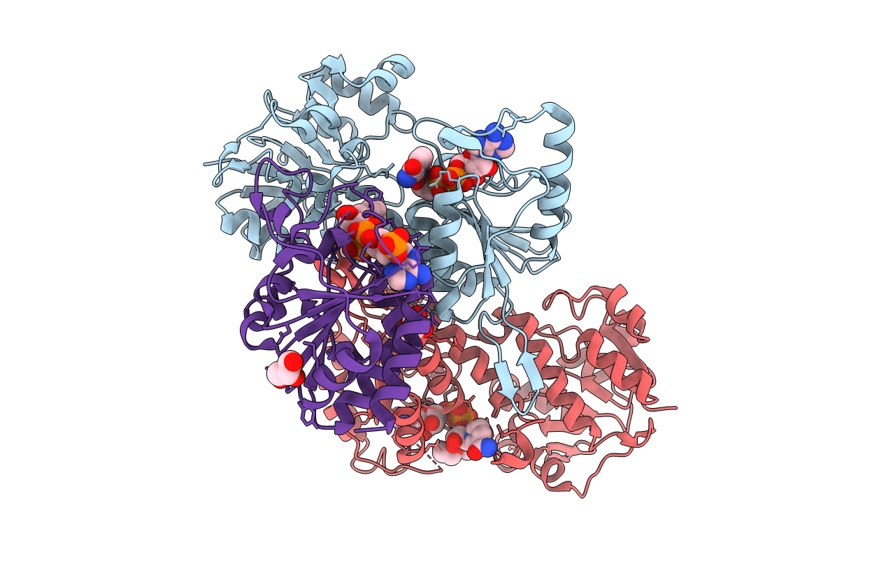 4J16 image