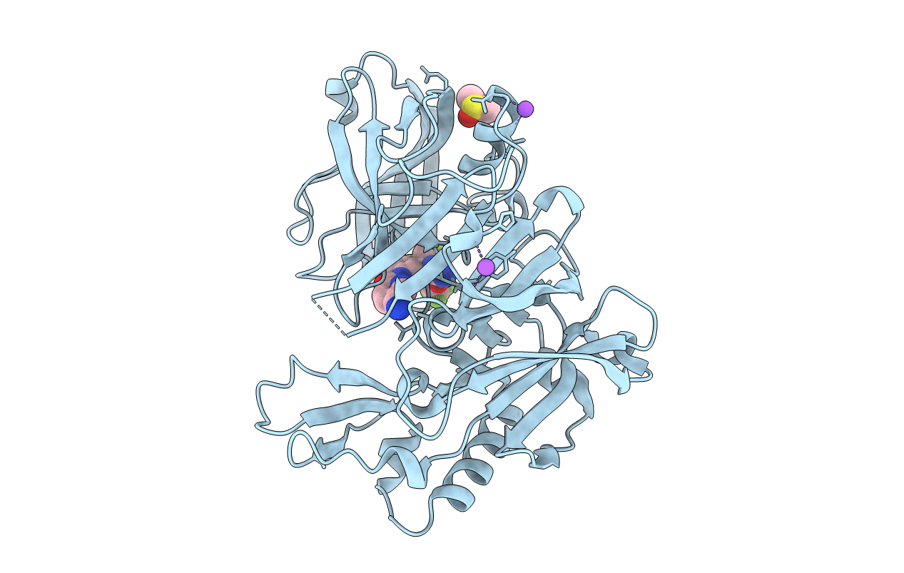 4J1E image