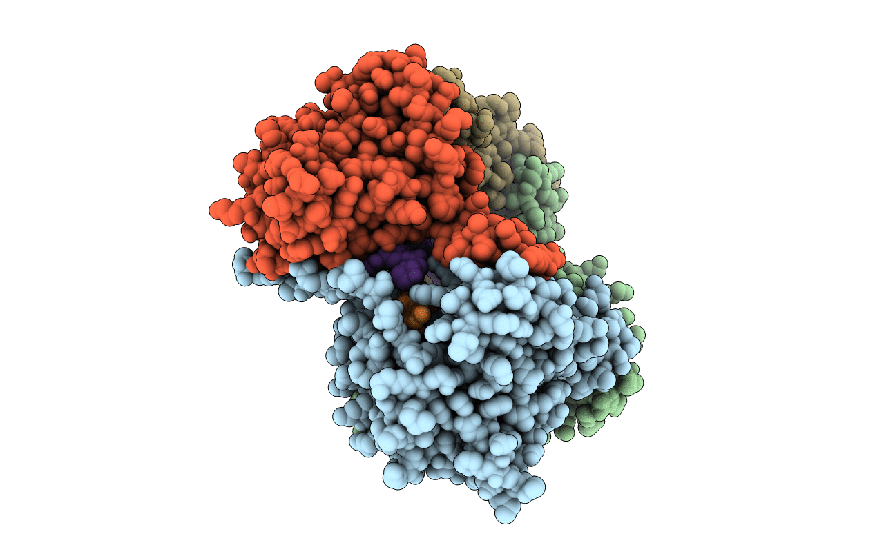 4J1J image