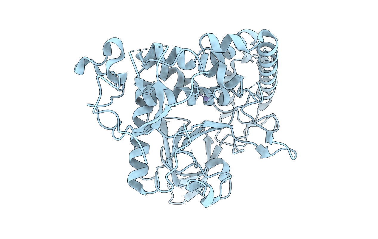 4J1L image
