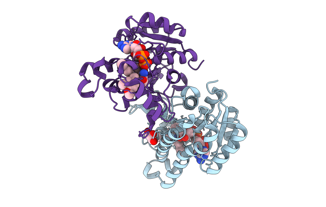 4J1N image