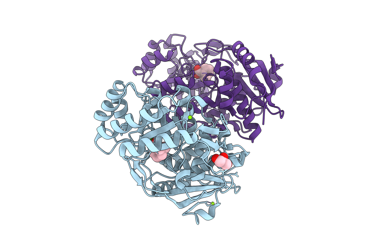 4J1O image