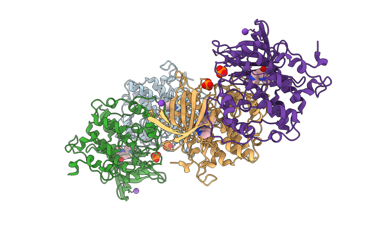 4J1R image