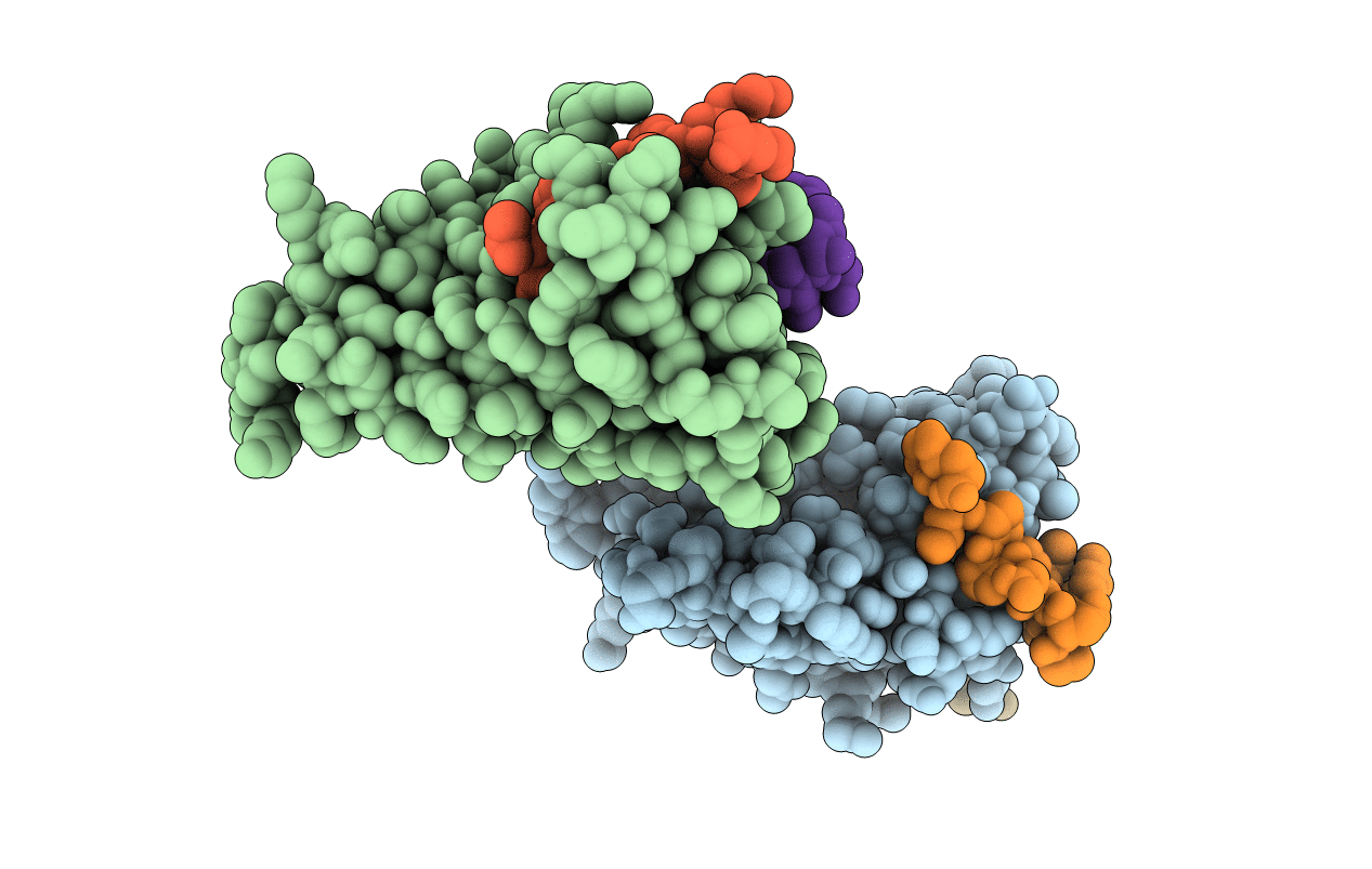 4J1V image