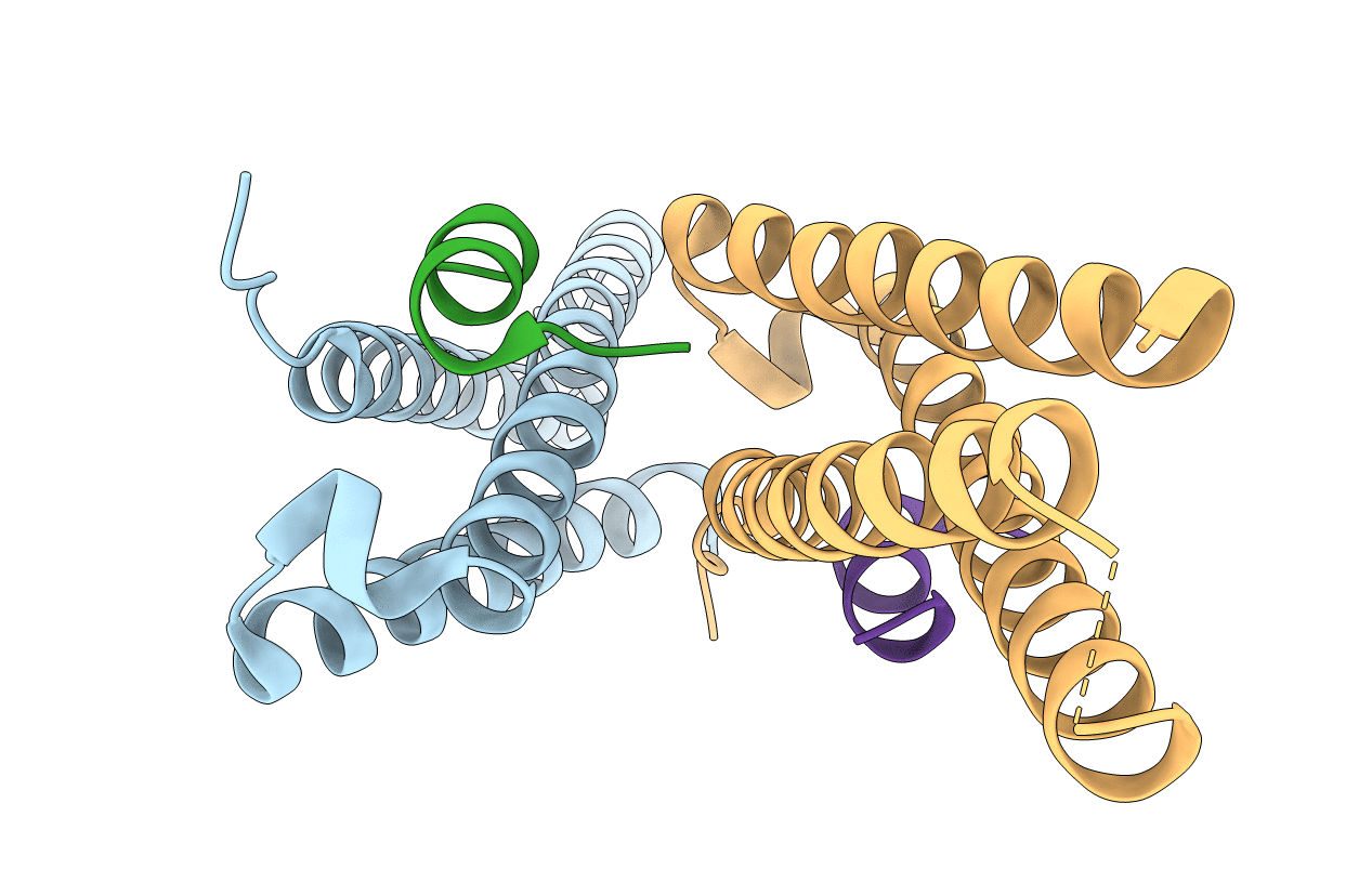 4J2C image