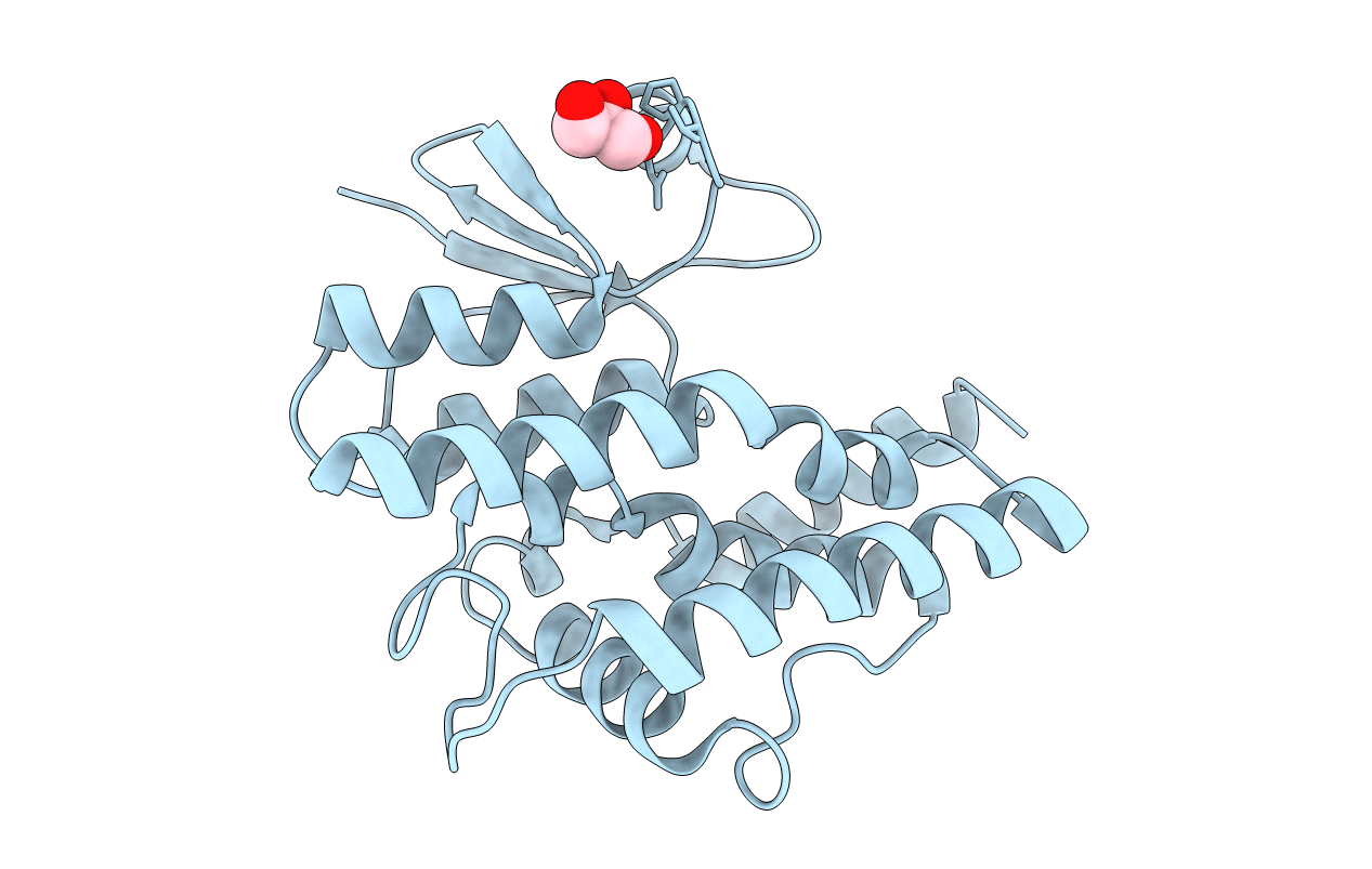 4J2F image