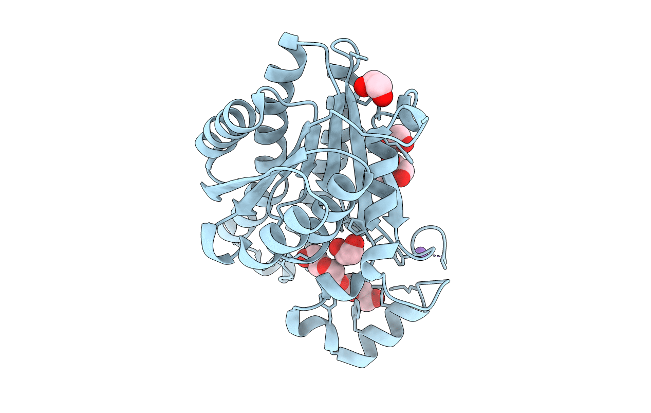4J2H image