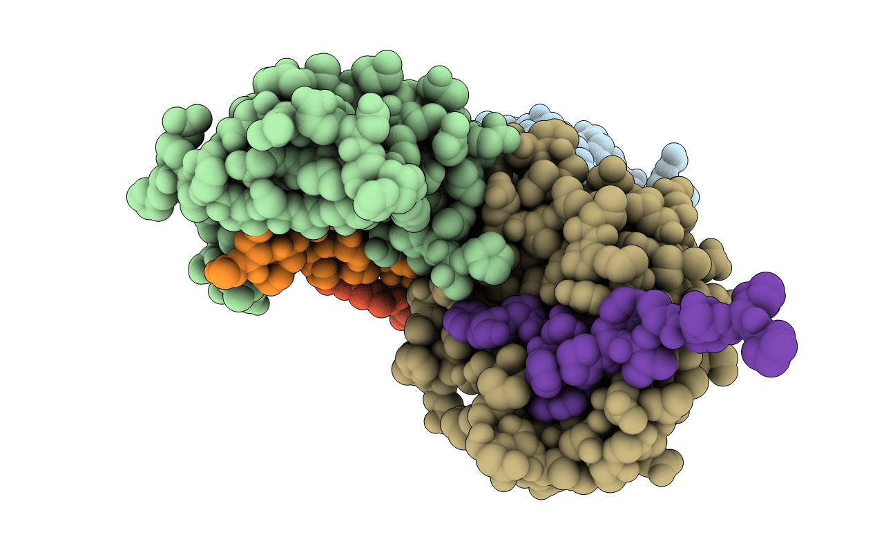 4J2J image