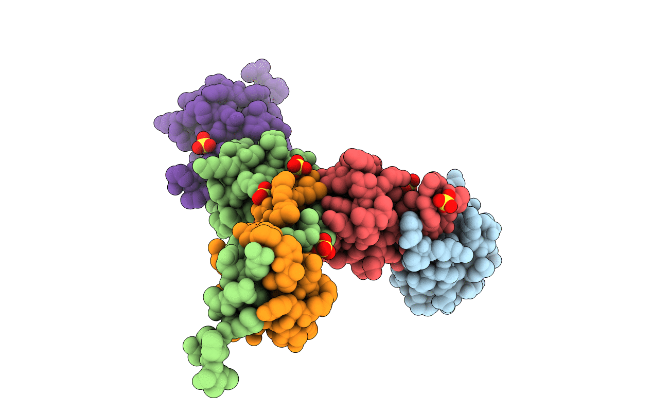 4J2N image