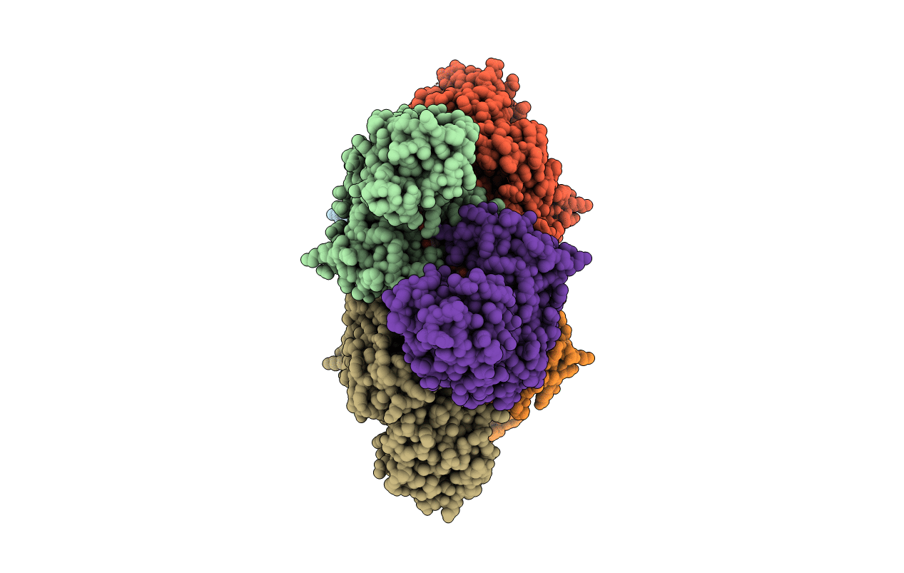 4J2O image