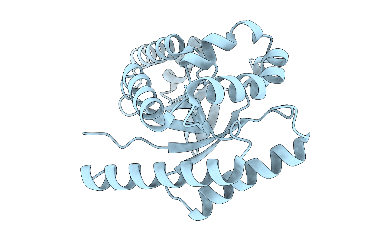 4J2P image