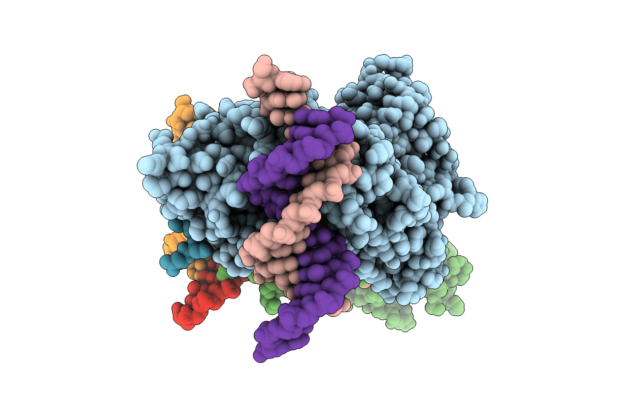 4J2X image
