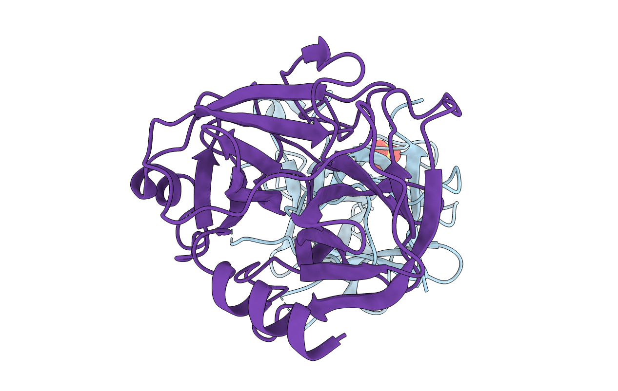 4J2Y image
