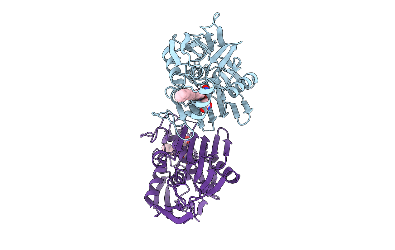 4J3D image