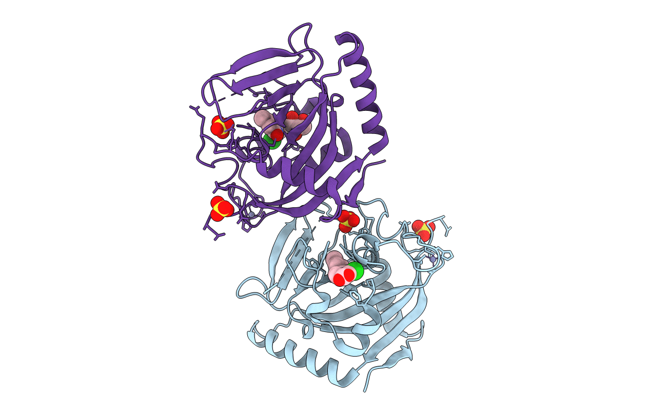 4J3M image