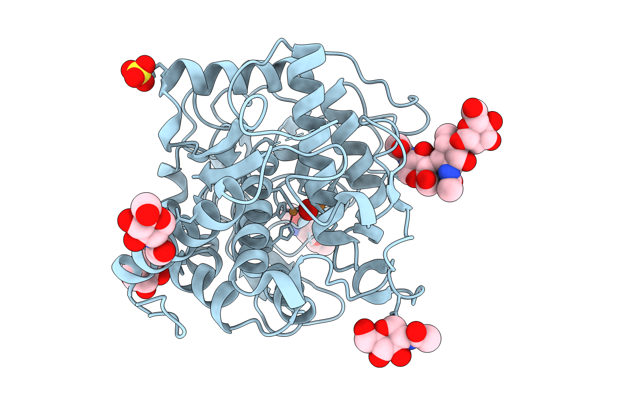 4J3P image