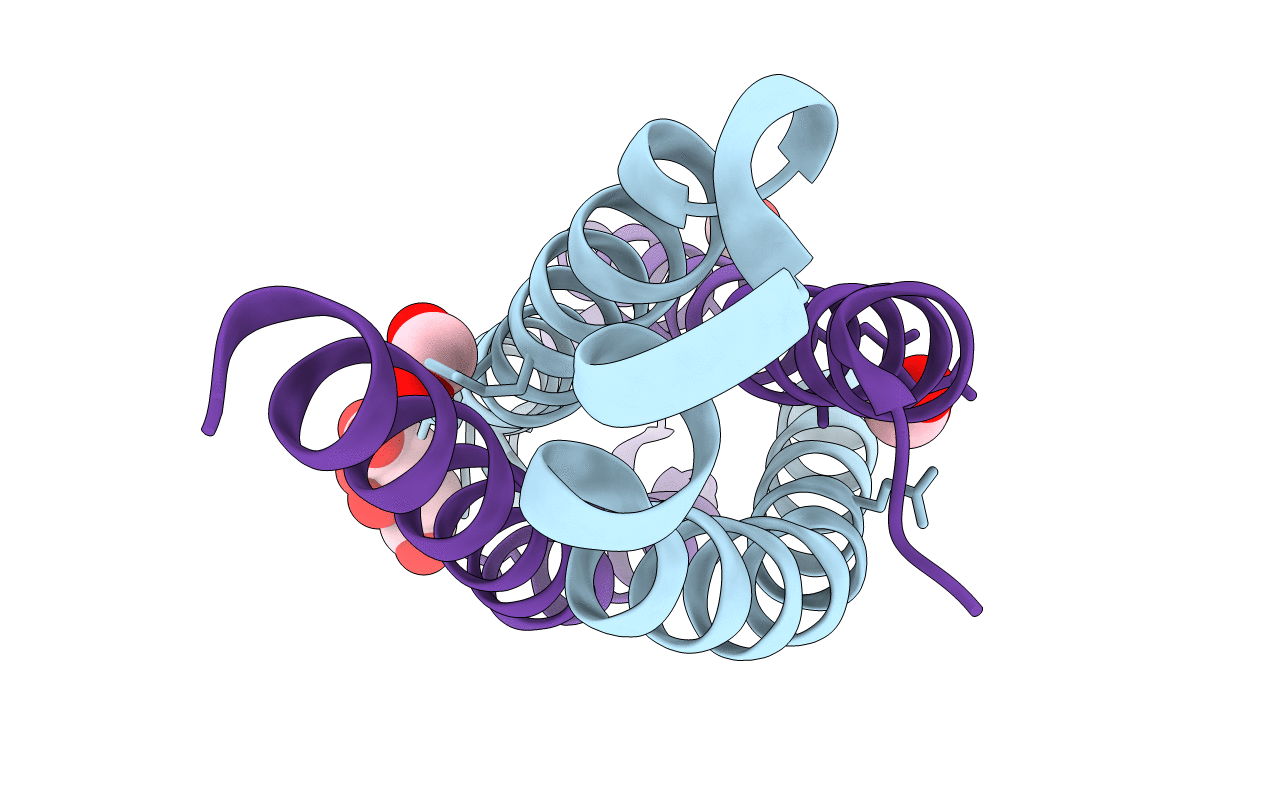 4J42 image