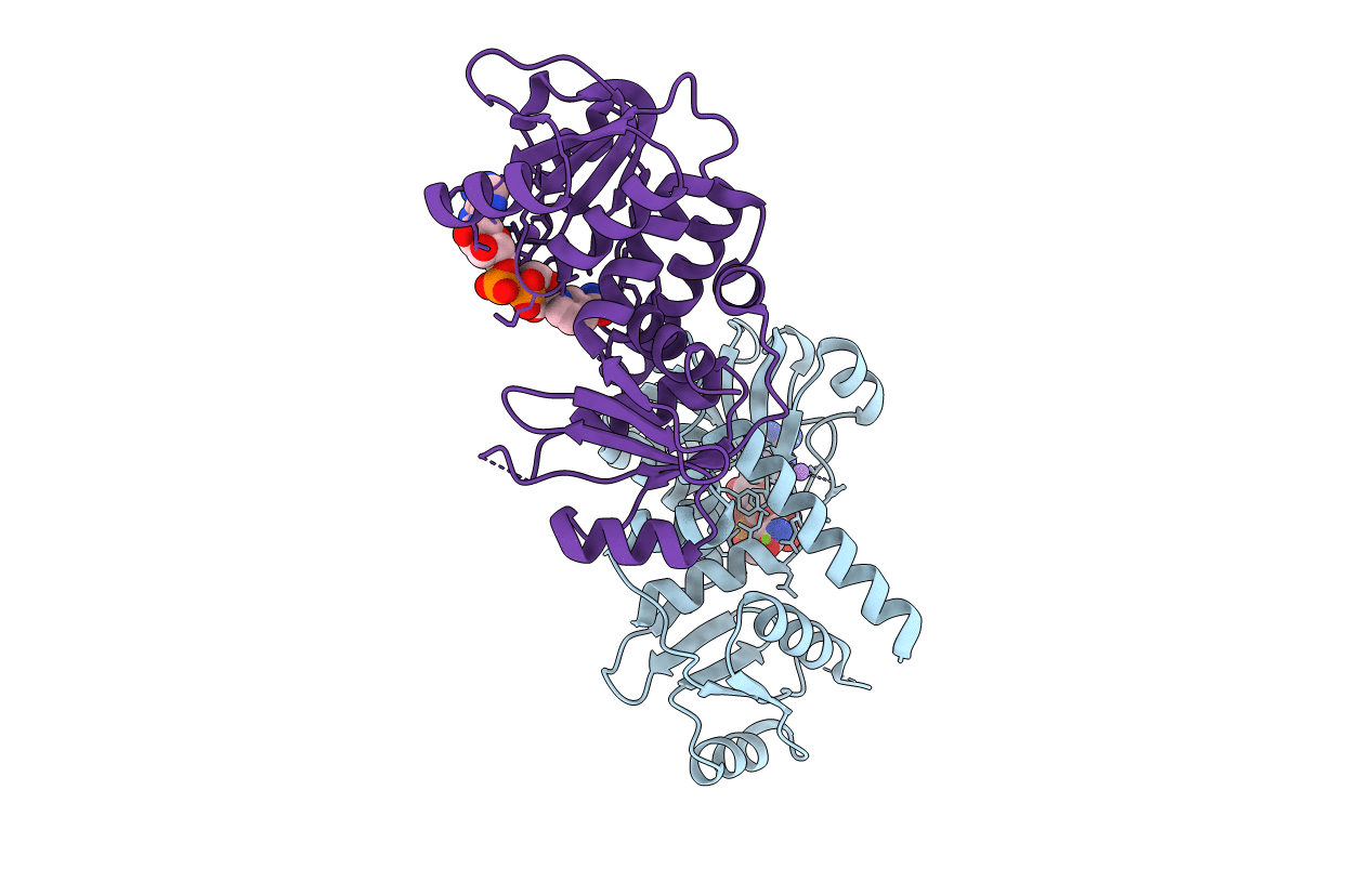 4J43 image