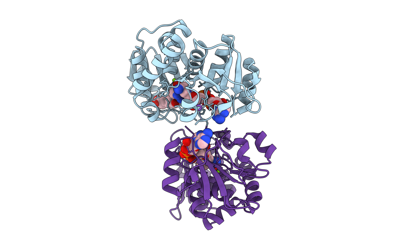 4J4B image