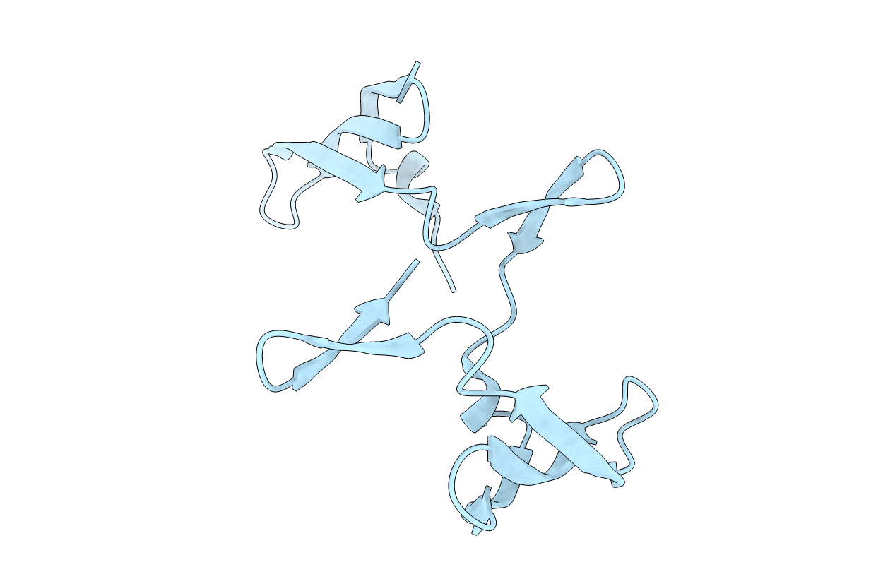4J4C image