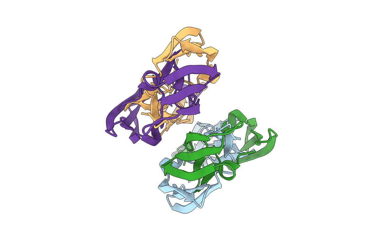 4J4D image