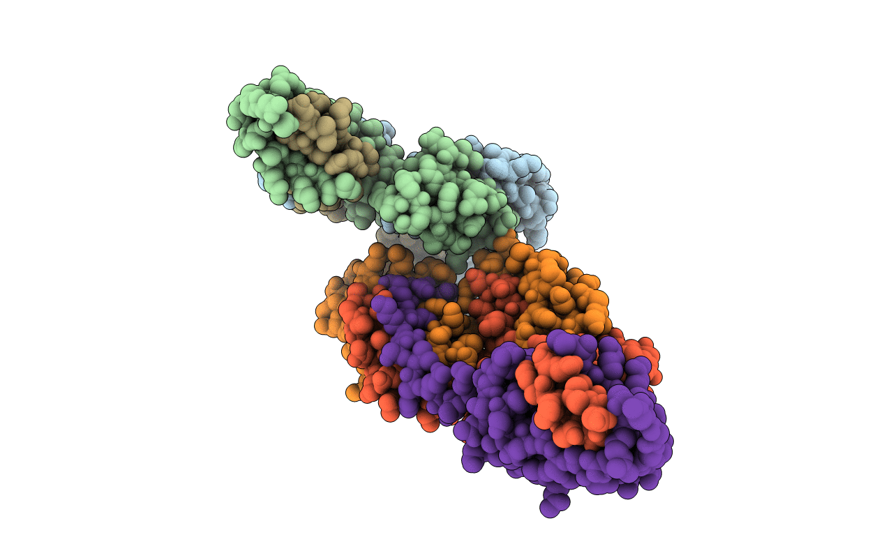 4J4E image