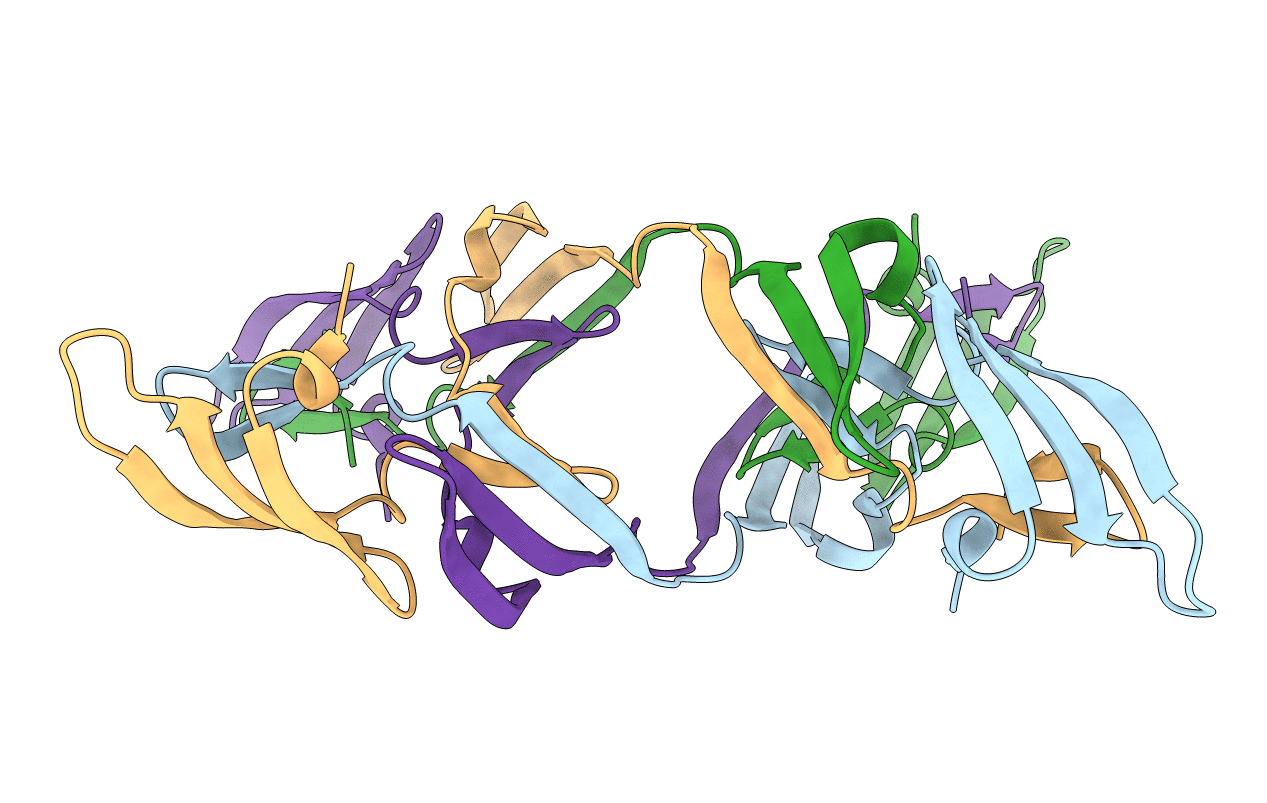 4J4G image