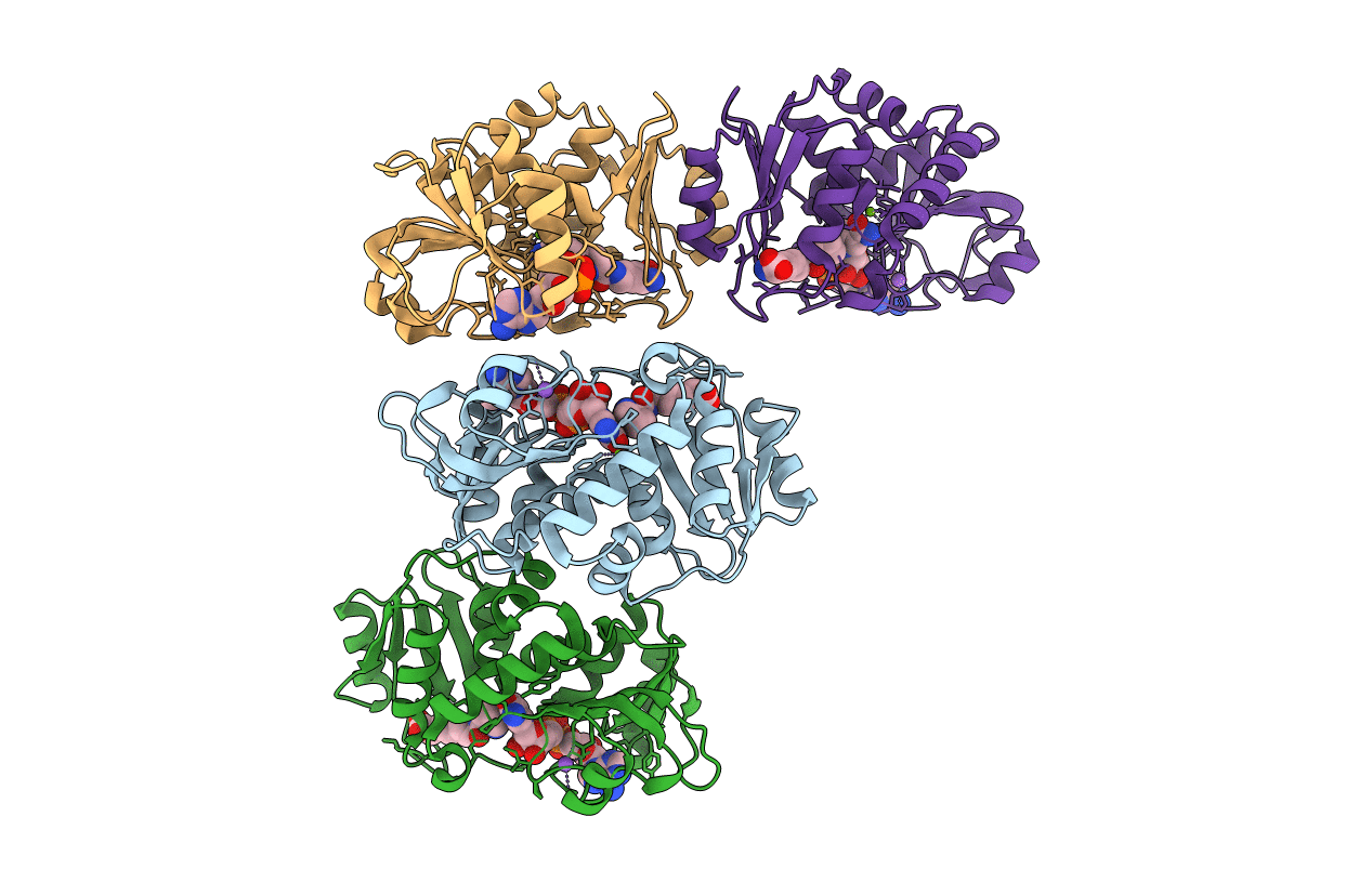 4J4H image