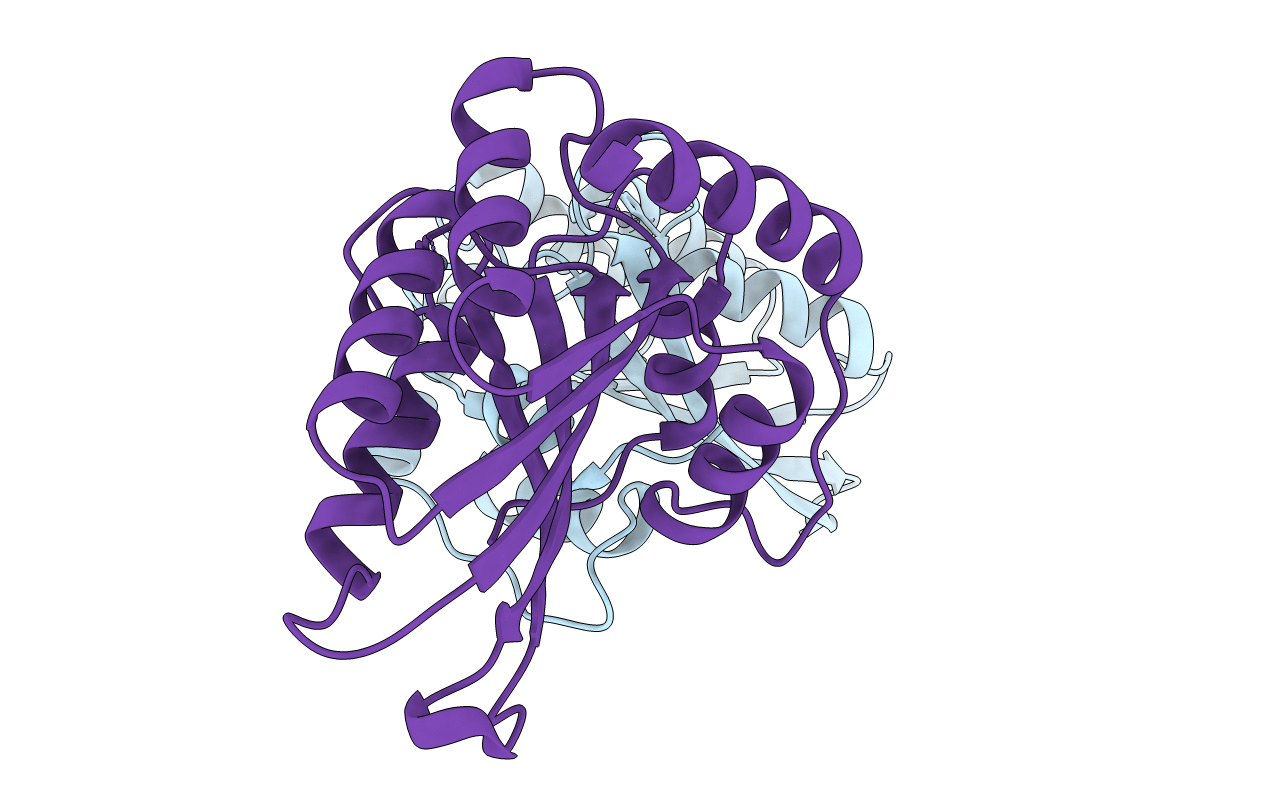 4J4J image