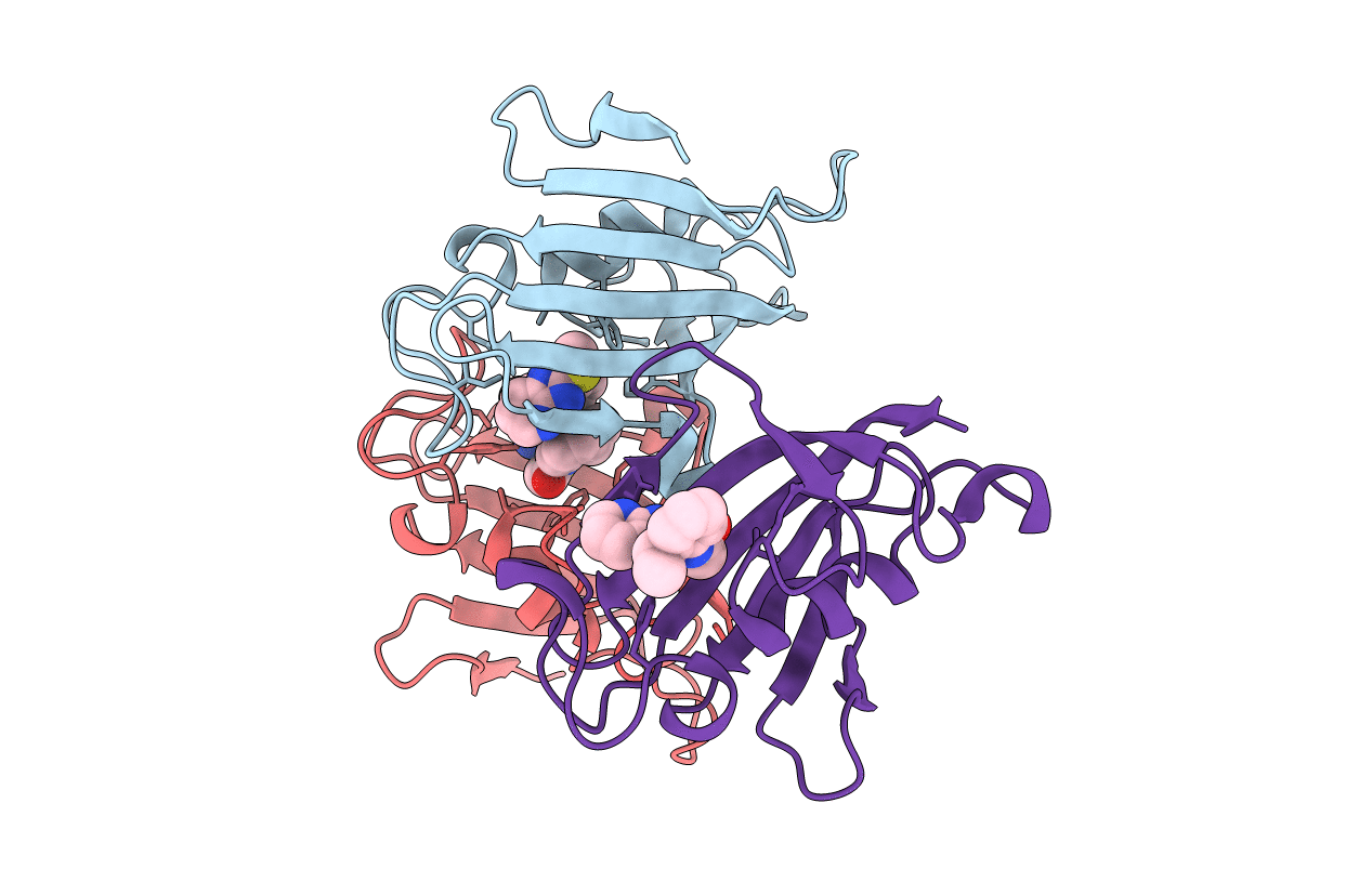 4J4N image