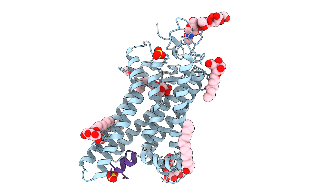 4J4Q image