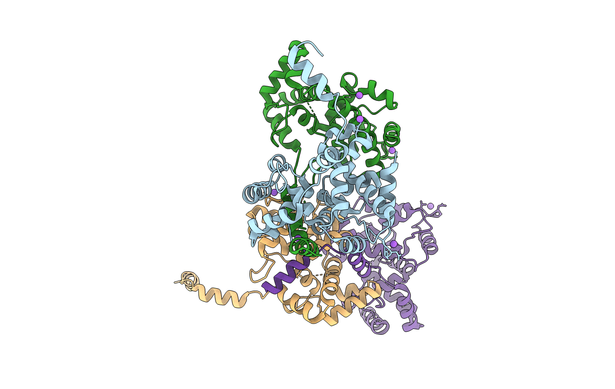 4J4S image