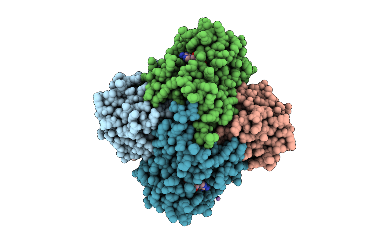 4J4T image
