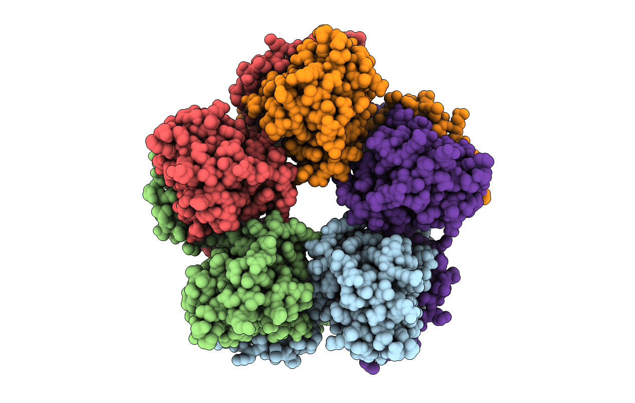 4J4U image