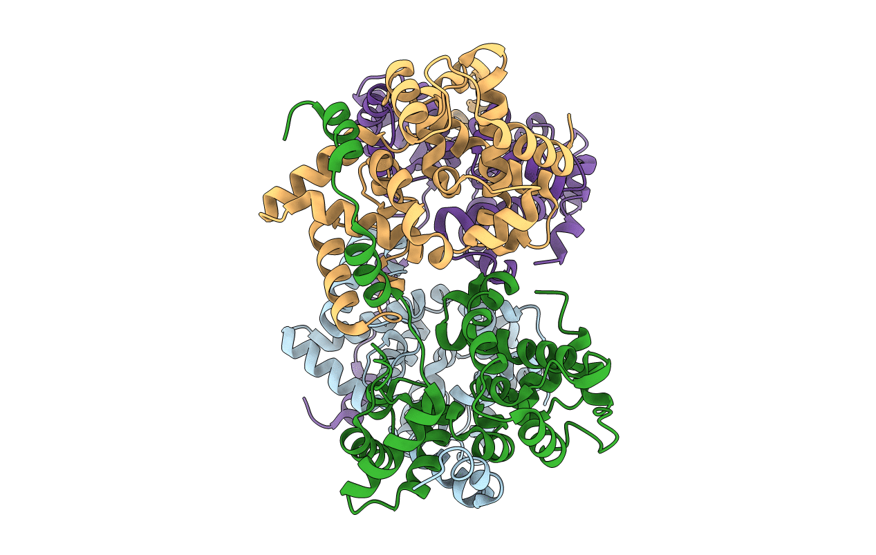 4J4Y image
