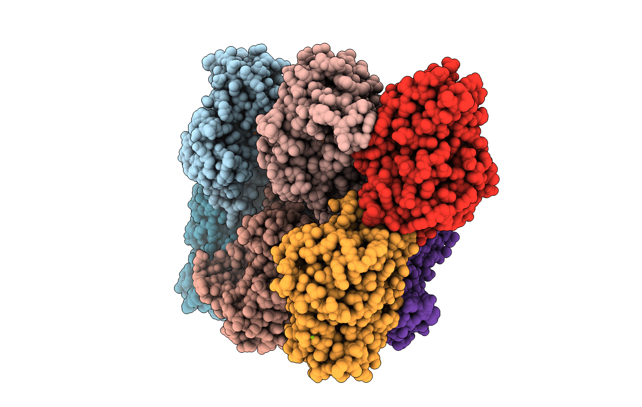 4J5I image