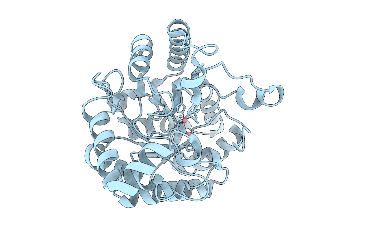 4J5N image