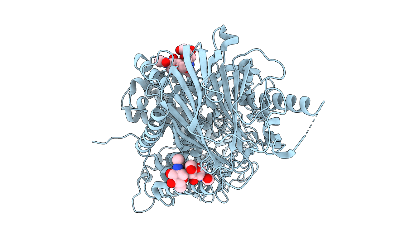 4J5T image
