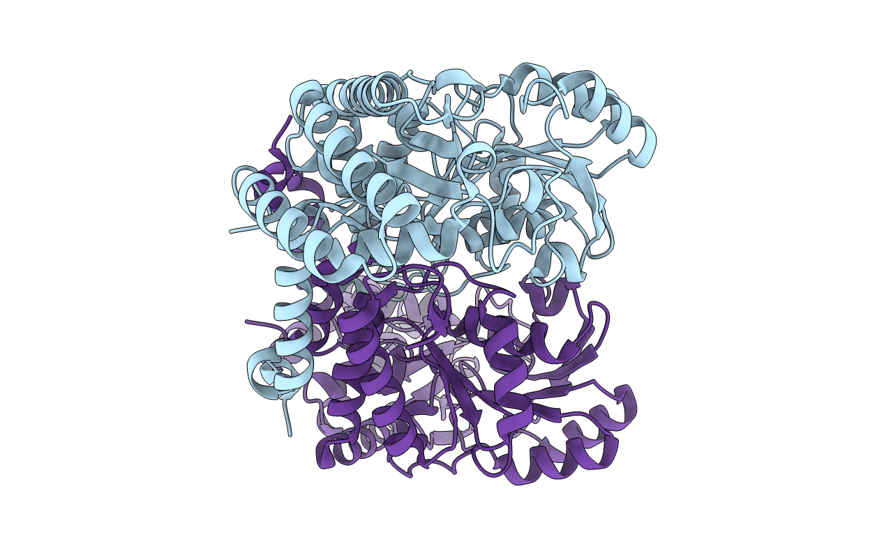 4J5U image