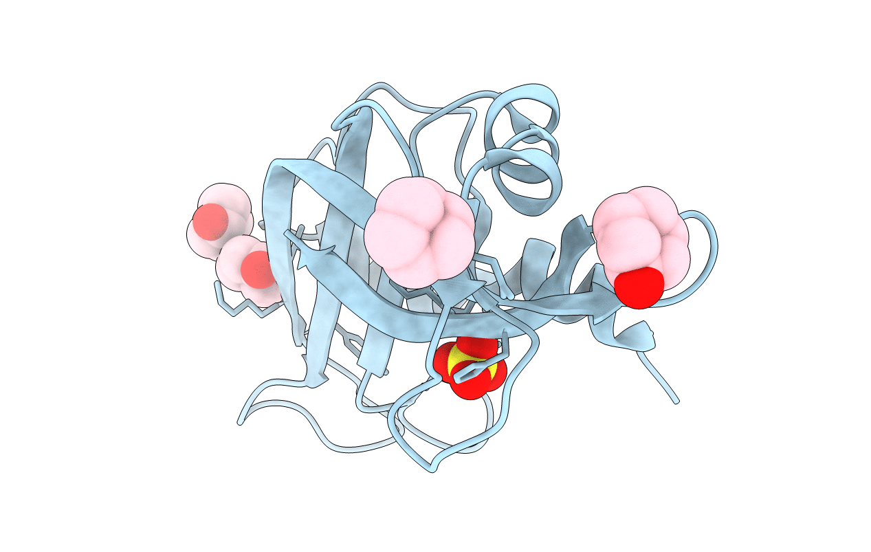 4J62 image