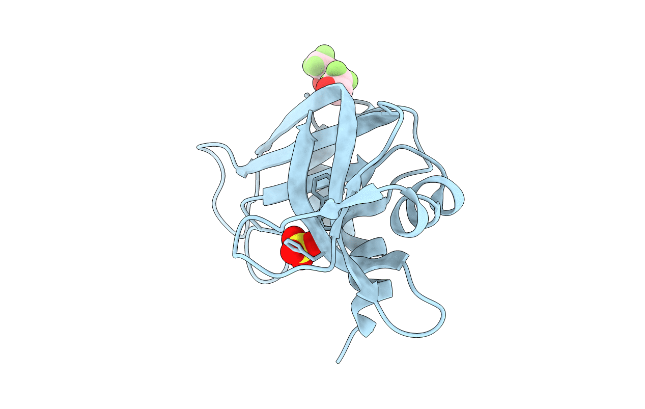 4J6A image