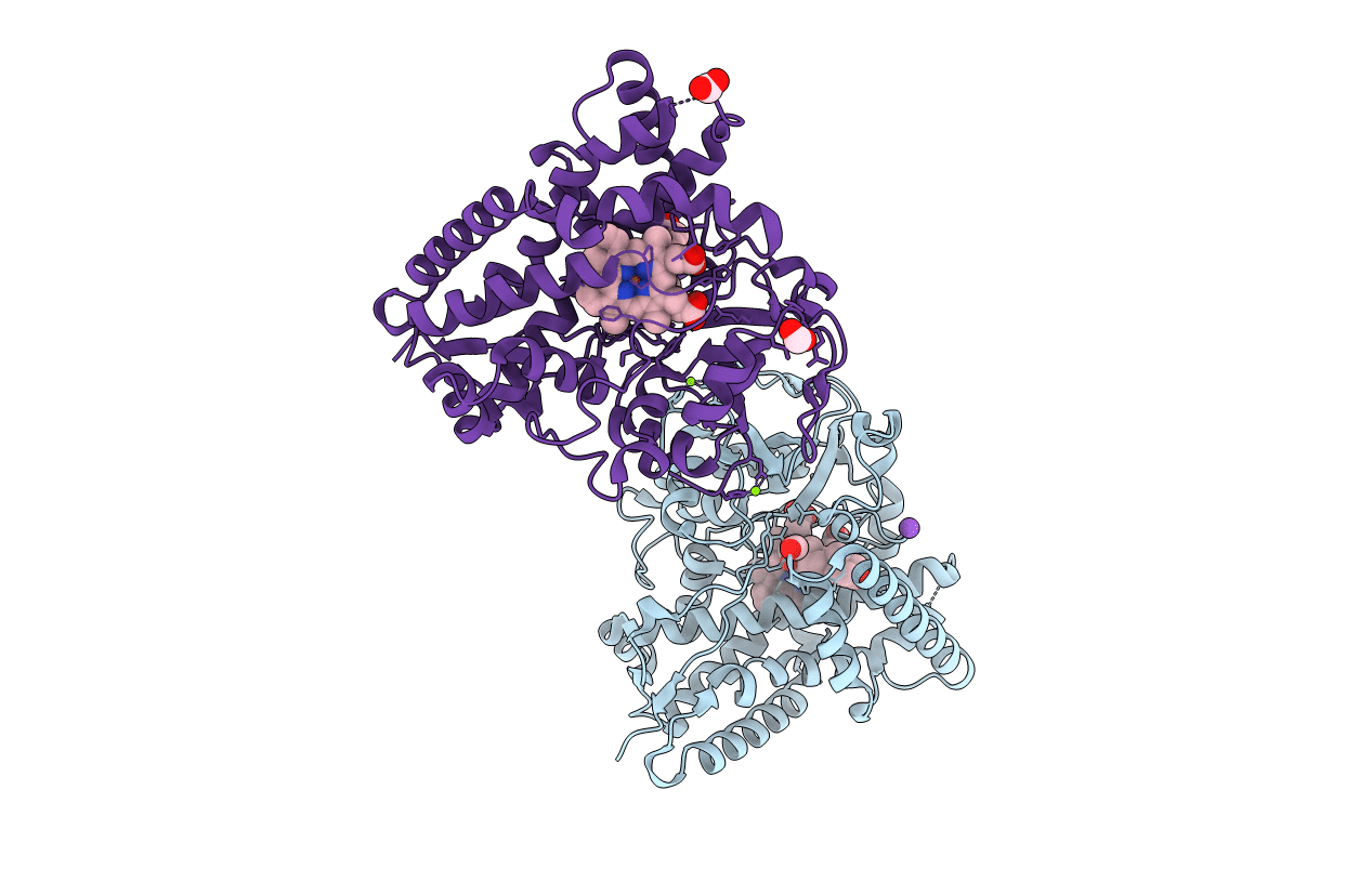 4J6B image
