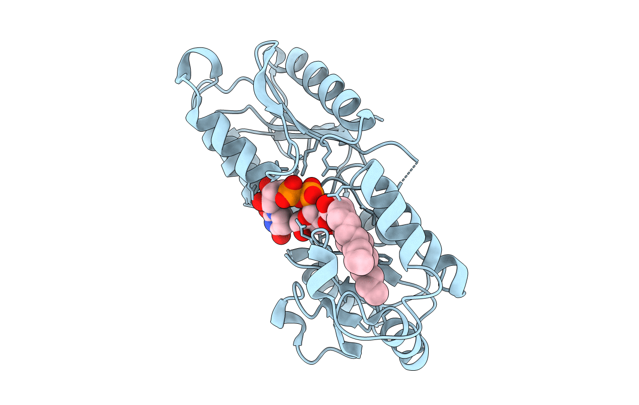 4J6E image